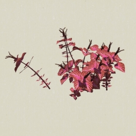 ��-Sketchup��ͼ��ʦEnscape����ģ��20220511111