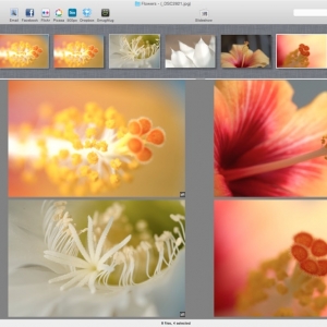 Lyn for mac 1.7.1 图像浏览器