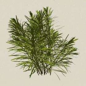 ��-Sketchup��ͼ��ʦEnscape����ģ��202205115