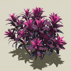 ��ľ-Sketchup��ͼ��ʦEnscape����ģ��202205112