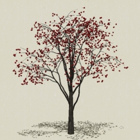 ��ľ��ľ-Sketchup��ͼ��ʦEnscape����ģ��2022051192