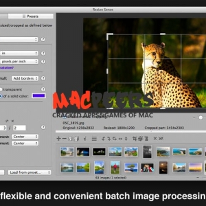 Resize Sense for mac 2.1.3 调整图像大小 绿化