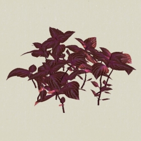 ��-Sketchup��ͼ��ʦEnscape����ģ��20220511112