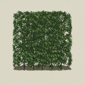 ��ľ-Sketchup��ͼ��ʦEnscape����ģ��2022051117