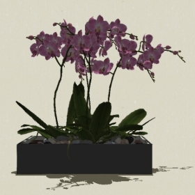 ����ֲ��-Sketchup��ͼ��ʦEnscape����ģ��20220511209