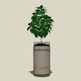 ����ֲ��-Sketchup��ͼ��ʦEnscape����ģ��2022051198