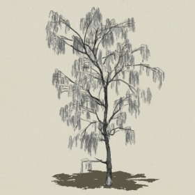 ��ľ-Sketchup��ͼ��ʦEnscape����ģ��2022051174