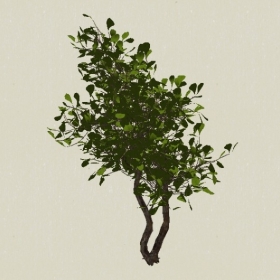 ��ľ-Sketchup��ͼ��ʦEnscape����ģ��2022051176