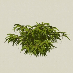 ��ľ-Sketchup��ͼ��ʦEnscape����ģ��2022051199