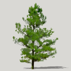 草图大师模型植物简模齐全2022年1225