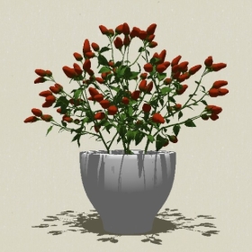 ����ֲ��-Sketchup��ͼ��ʦEnscape����ģ��20220511127