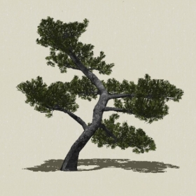 �辰ֲ��-Sketchup��ͼ��ʦEnscape����ģ��20220511106