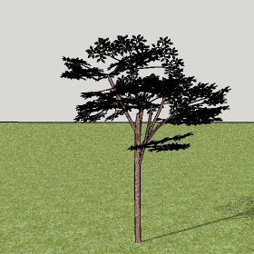 ͼʦģֲģȫ2022176