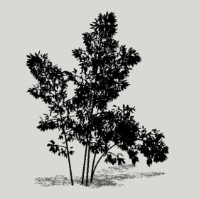 ����_Enscape���ʲ�ͼ��ʦģ���������202204204988