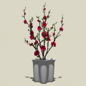 ����ֲ��-Sketchup��ͼ��ʦEnscape����ģ��20220511174