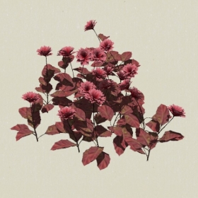 ����-Sketchup��ͼ��ʦEnscape����ģ��20220511104