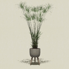 ����ֲ��-Sketchup��ͼ��ʦEnscape����ģ��2022051124