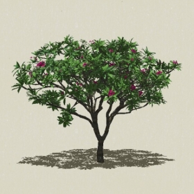 ��ľ��ľ-Sketchup��ͼ��ʦEnscape����ģ��2022051124