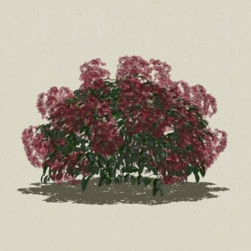 ����-Sketchup��ͼ��ʦEnscape����ģ��2022051110