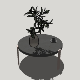 �輸�߼�_Sketchup��ͼ��ʦģ��Enscape����220204261526