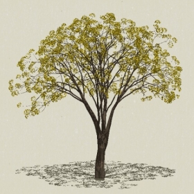 ��ľ-Sketchup��ͼ��ʦEnscape����ģ��20220511171