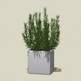 ����ֲ��-Sketchup��ͼ��ʦEnscape����ģ��2022051188