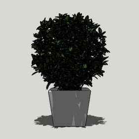 ����ֲ��_Sketchup��ͼ��ʦģ��Enscape����22020426473