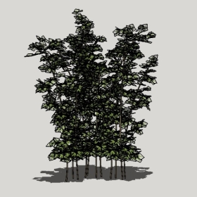 ����_Enscape���ʲ�ͼ��ʦģ���������202204204992