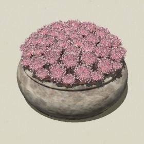 ����ֲ��-Sketchup��ͼ��ʦEnscape����ģ��20220511177