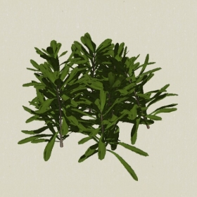 ��ľ-Sketchup��ͼ��ʦEnscape����ģ��20220511106