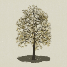 ��ľ-Sketchup��ͼ��ʦEnscape����ģ��2022051166