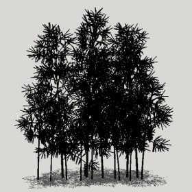 ����_Enscape���ʲ�ͼ��ʦģ���������202204204983