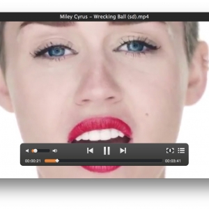 Elmedia Player Pro for mac 6.5.1 flash和media媒体播放器