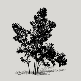 ����_Enscape���ʲ�ͼ��ʦģ���������202204204973