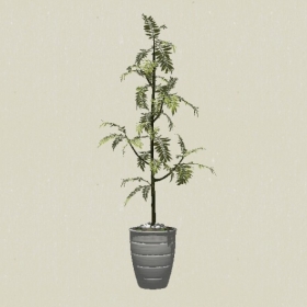 ����ֲ��-Sketchup��ͼ��ʦEnscape����ģ��20220511202