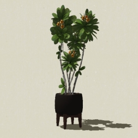 ����ֲ��-Sketchup��ͼ��ʦEnscape����ģ��20220511295