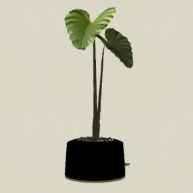 ����ֲ��-Sketchup��ͼ��ʦEnscape����ģ��20220511195