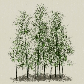 ����-Sketchup��ͼ��ʦEnscape����ģ��2022051113