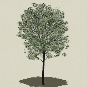 ��ľ-Sketchup��ͼ��ʦEnscape����ģ��2022051128