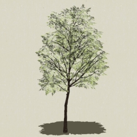 ��ľ-Sketchup��ͼ��ʦEnscape����ģ��20220511104