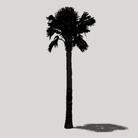 ���ֲ��_Enscape���ʲ�ͼ��ʦģ���������202204205566