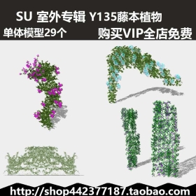 老徐sketchup SU模型库 藤本植物 skp 29个 Y135