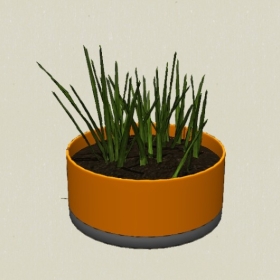 ����ֲ��-Sketchup��ͼ��ʦEnscape����ģ��2022051121