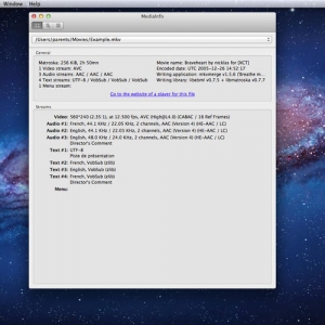 MediaInfo 0.7.51 绿化版 Mac 视频编码信息检测工具