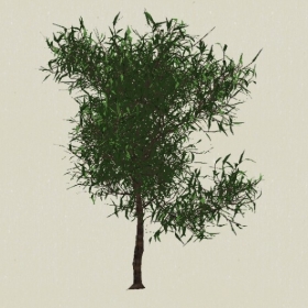 ��ľ-Sketchup��ͼ��ʦEnscape����ģ��2022051185