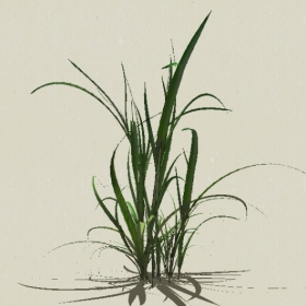 ��-Sketchup��ͼ��ʦEnscape����ģ��2022051174