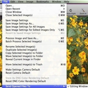 Iridient Developer for mac 3.0.1 – 高质RWM图像处理和转换工具 摄影必备 最新 ...