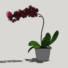 ����_Sketchup��ͼ��ʦģ��Enscape����22020426347