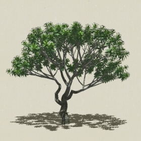 ��ľ��ľ-Sketchup��ͼ��ʦEnscape����ģ��2022051160