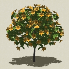 ��ľ��ľ-Sketchup��ͼ��ʦEnscape����ģ��2022051129